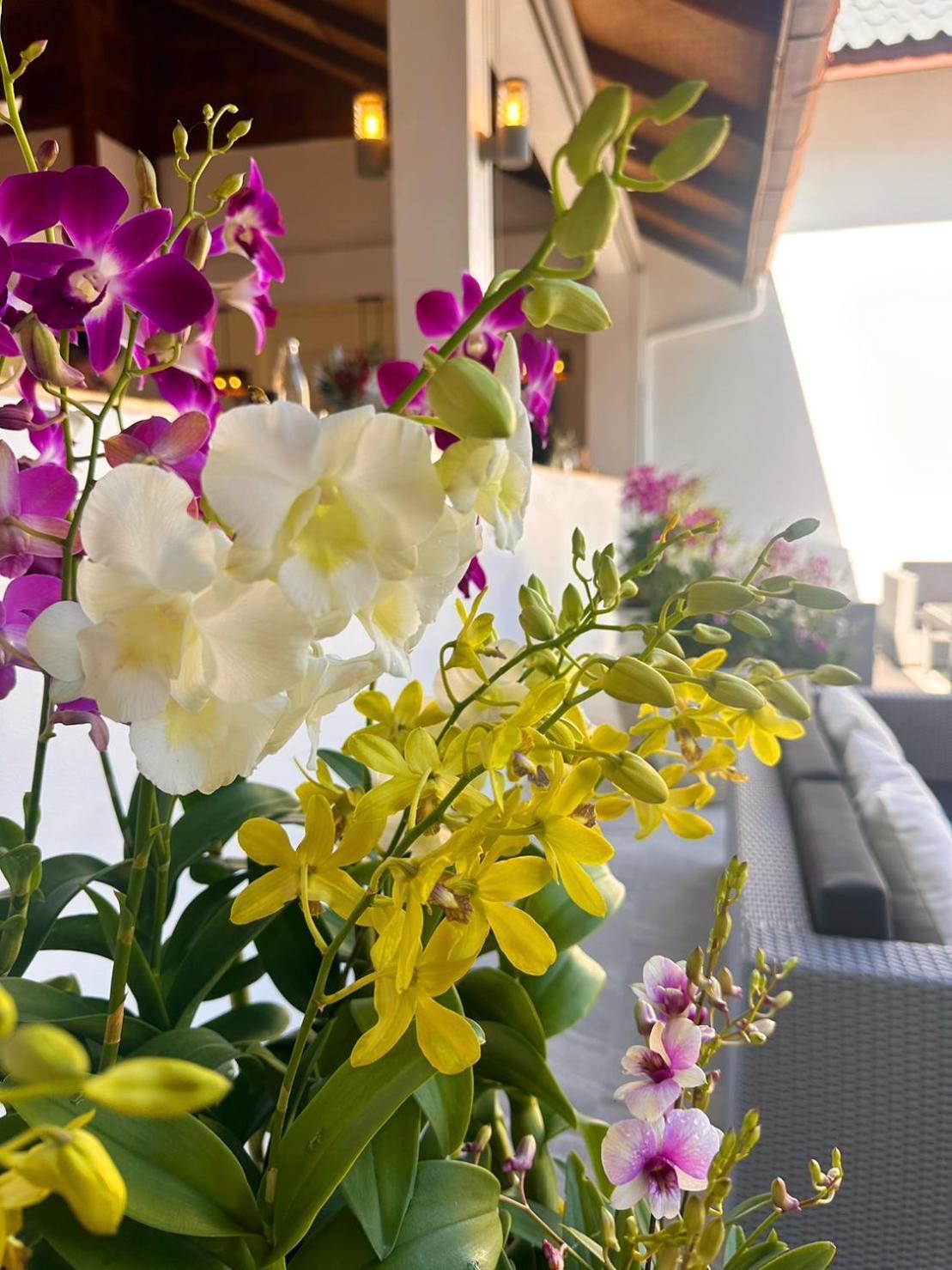 Hotel Ocean Pie Phuket - Adult Only Rawai Exterior foto